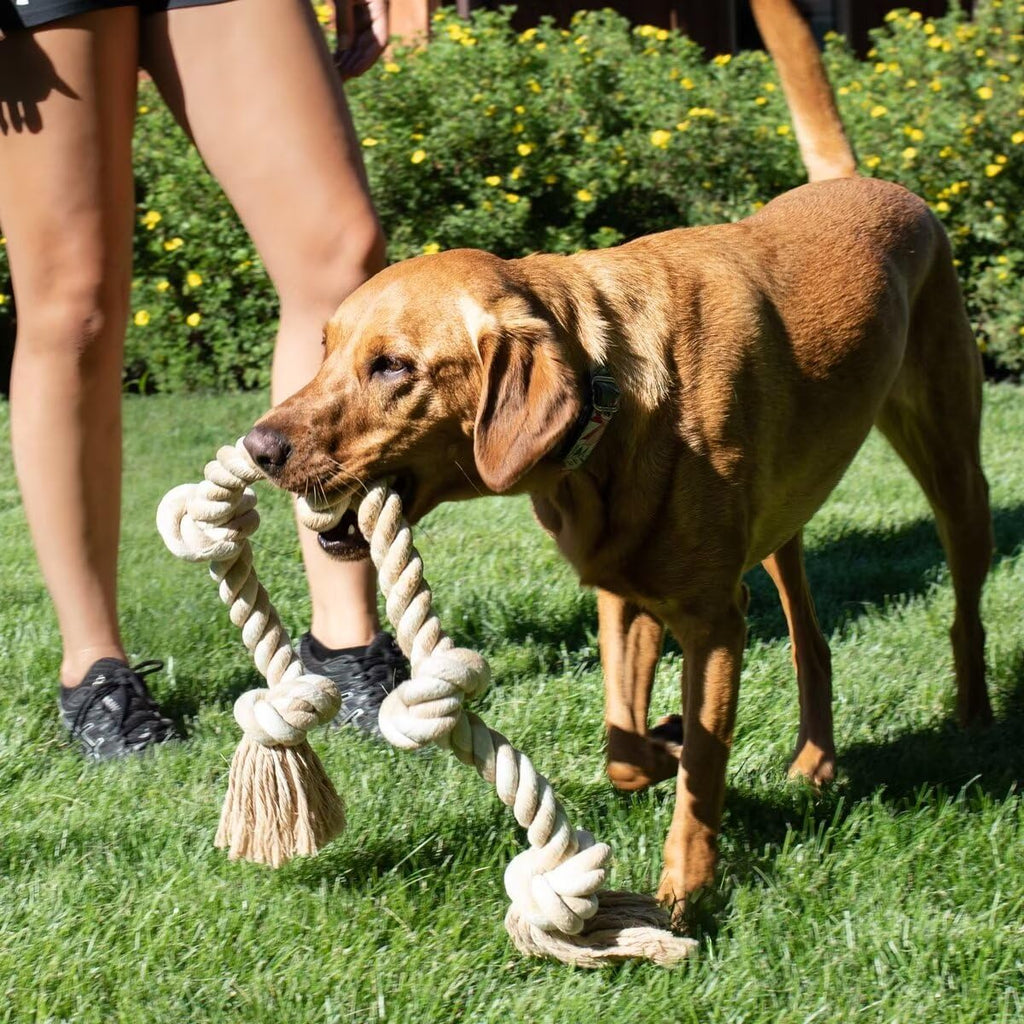 Fida Dog Rope Toy for Large Dogs 92cm Natural Cotton Chew Toy for Tug of War Pulling Teeth Cleaning 2