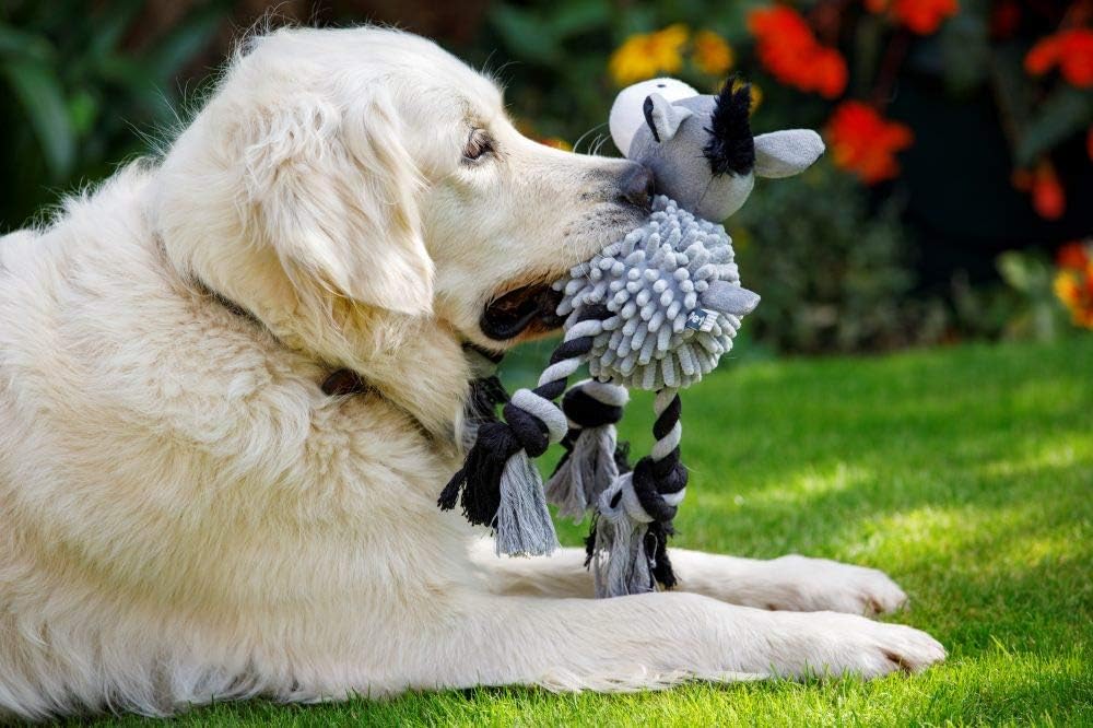 PetfaceFarmyardBuddiesNoodleDonkeyPlushDogToy4