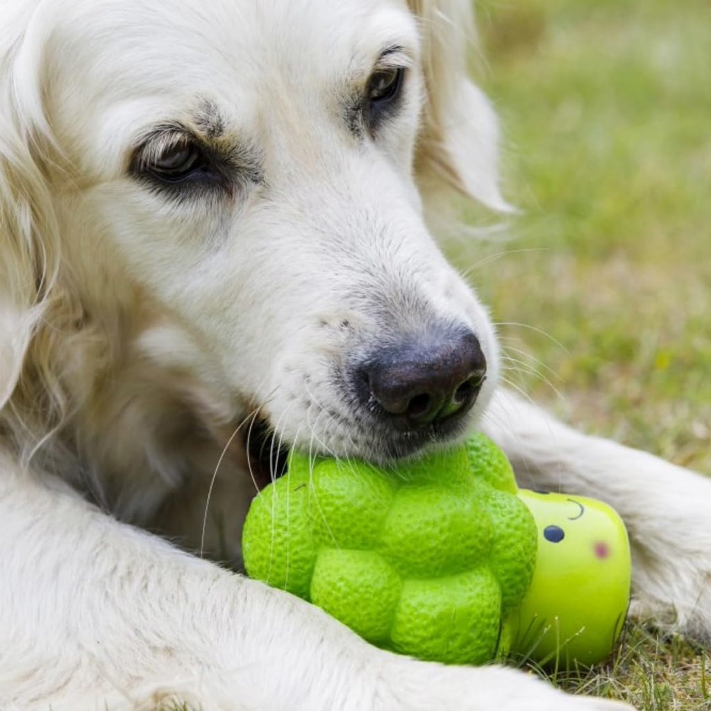 PetfaceLatexBroccoliChewToyforDogs Large1
