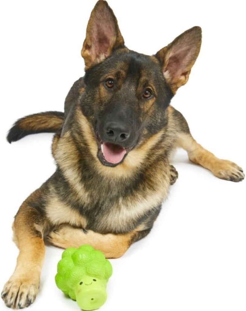 PetfaceLatexBroccoliChewToyforDogs Large2